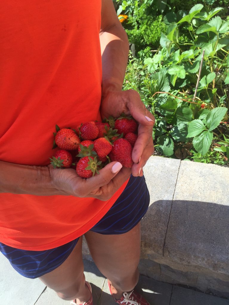 grow-strawberry-garden-top-5-health-reasons